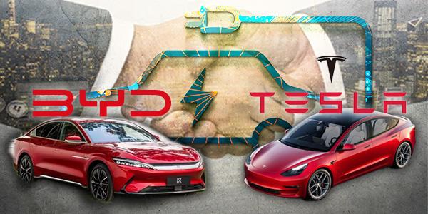 중국 BYD 부사장 