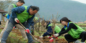 LH 산불피해 지역에 8200그루 나무 심어, 연간 16만 톤 탄소 저감 효과