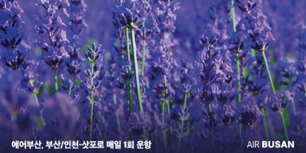 에어부산 인천-일본 삿포로 취항 1주년 맞아, 누적 탑승객 13만 명 넘어서 