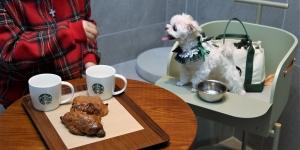 스타벅스 더북한강R점, 반려동물과 취식 가능한 2번째 매장으로