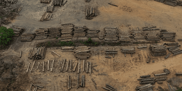 유럽 코코아업계 EU 삼림벌채 규정 시행 연기 요청, 