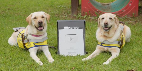 삼성화재 임직원과 만든 유튜브 채널 실버메달 획득, “고객과 친근한 소통”