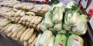 9월 생산자물가 하락세에도 농림수산품은 상승, 배추 61% 토마토 51% 뛰어