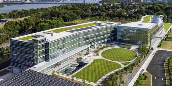 LG그룹 탄소중립 성과 담은 보고서 발간, 