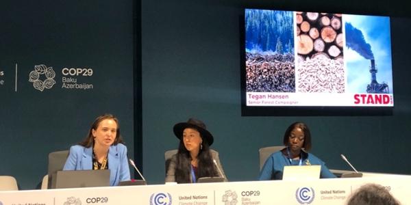 국제연구진, '가짜 친환경에너지' 바이오매스 발전 확대 주범으로 한국 지목