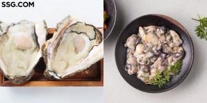 SSG닷컴 자연산 생굴 사전예약 판매, ‘바위굴’ ‘돌굴’ ‘석화’ 최대 50% 할인