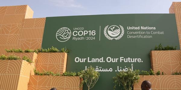 기후대응 움직임에 산유국 반발 지속, 올해 기후회담 '총체적 난국' 