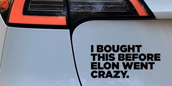 테슬라 연간 판매량 감소 배경 '일론 머스크 정치성향 때문' 분석 나와