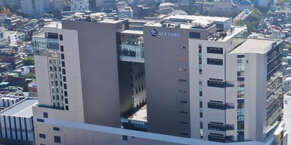 애경케미칼 2차전지·아라미드 신소재 사업 도전, 표경원 위기의 그룹 캐시카우 역할 되찾나 