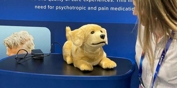 [CES 2025] 삼성전자 LG전자부터 스타트업까지, CES 최대 화두 AI와 로봇 