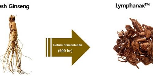 아모레퍼시픽 자연 숙성 인삼 소재 림파낙스, 피부 항염 효능 입증