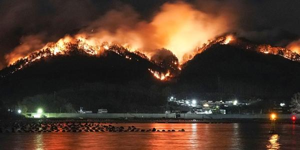 기후변화에 미국 넘어 일본까지 대형 산불, 세계에서 '기후 화재' 늘어난다
