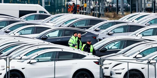 테슬라 보급형 신차 윤곽, '모델Y' 일부 기능만 축소해 올 연말 중국 출시 예정