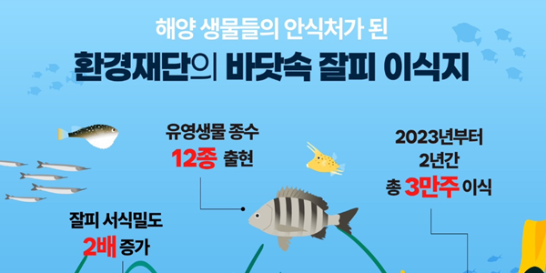 환경재단 잘피숲 3만 주 조성사업으로 성과, 