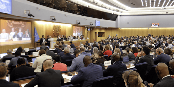 글로벌 선박 '보편 탄소세'에서 '부분 탄소세'로 후퇴, 한국도 대응 과제 남아