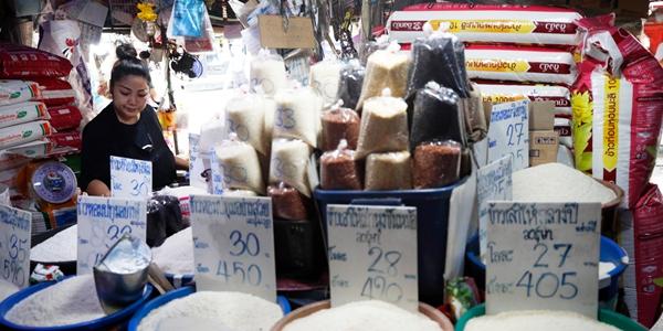 기후변화가 벼에 비소 함유량 높인다, 쌀 주식 국가에 암 발병률 상승 요인