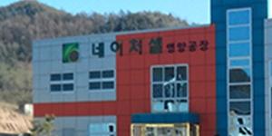 네이처셀 주가 장중 상한가, 네이처셀 