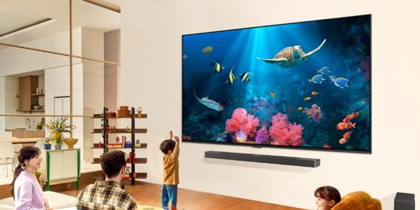 소재기업 나노코 LG전자 상대로 미국 법원에 특허침해 소송, 손해배상 요구