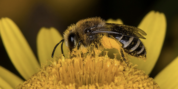 세계자연기금 기후분석 보고서 발간, 