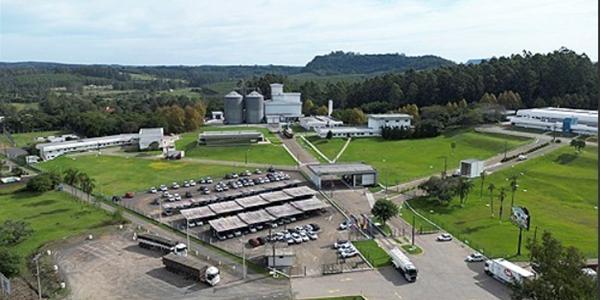 마니커 주가 장중 상한가, 브라질산 닭고기 수입 금지 영향