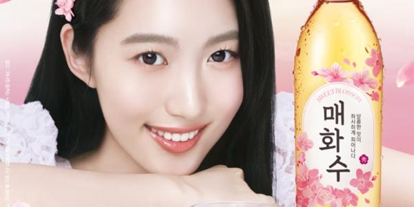 하이트진로 '매화수' 5년 만에 재단장, 알코올 도수 12도에서 9도로 낮춰