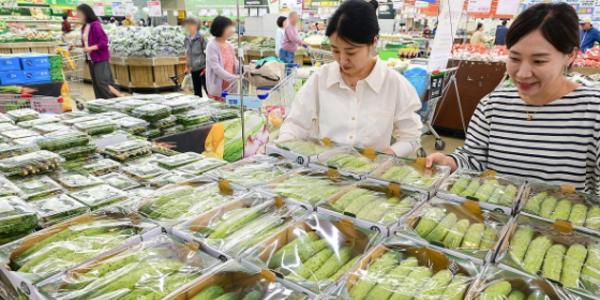 4월 생산자물가지수 소폭 하락, 농산물 출하 증가에 양파·오이 가격 내려