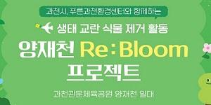 펄어비스, 환경의달 맞아 생태교란 식물 제거 자원봉사 활동 진행