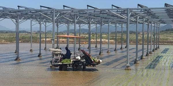 [기후경쟁력포럼] (4) 이재명의 대표정책 '햇빛연금', 에너지와 식량 안보 다 잡는다