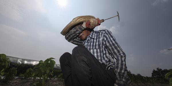 전례 없는 초여름 폭염에 '온열질환 팬데믹' 온다, 세계 보건당국 초긴장