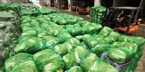 6월 생산자물가지수 3개월 만에 상승 전환, 배추 31% 돼지고기 9.5% 올라