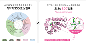 코스맥스 '극한환경 항산화 효소' 개발, 