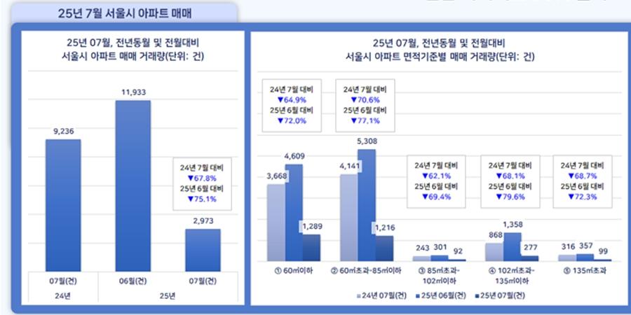서울 아파트거래량 6·27대책 이후 75% 급감, 빌라 매매도 50% 감소