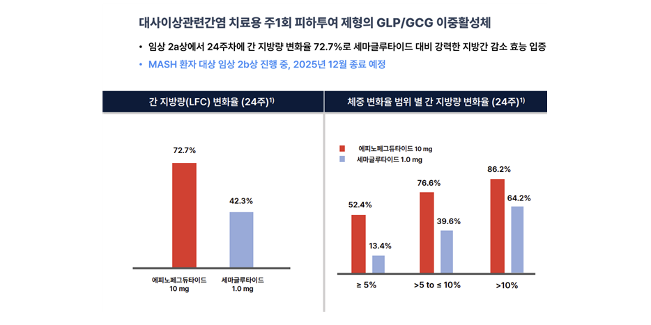 비만약 위고비 지방간 치료제로, 한미약품 머크에 기술수출한 신약후보물질도 합류하나 