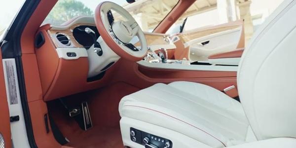 현대차와 미국 '식물성 가죽' 업체 협업, 