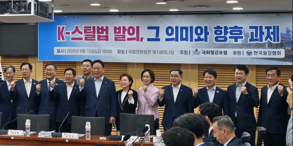 [현장] 위기의 철강산업 지원 'K-스틸법' 제정 급물살 타나, 전문가들 