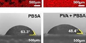코스메카코리아 수용성 UV 차단제 한계 극복, 친수성 고분자로 자외선 차단 효율 17배 향상