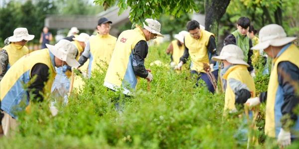OCI홀딩스 'OCI 숲' 캠페인 성료, 한강공원에 3년 동안 나무 1만 그루 심어
