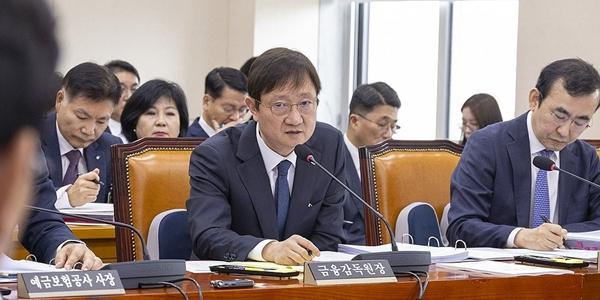 국감 데뷔전 기죽지 않은 이찬진, 금감원의 소비자 보호 원칙 묵묵히 강조