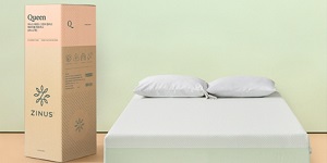 지누스 5천억 빚 보증에 '재무 경고등', 현대백화점 경영 리스크 축소에 총력