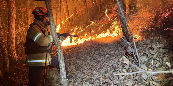 파리협정 기후목표 조기 붕괴 확실시, 대형 산불과 홍수 '기상재난' 잦아진다 