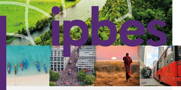 유엔 생물다양성과학기구 미국 탈퇴에 유감 표명, 