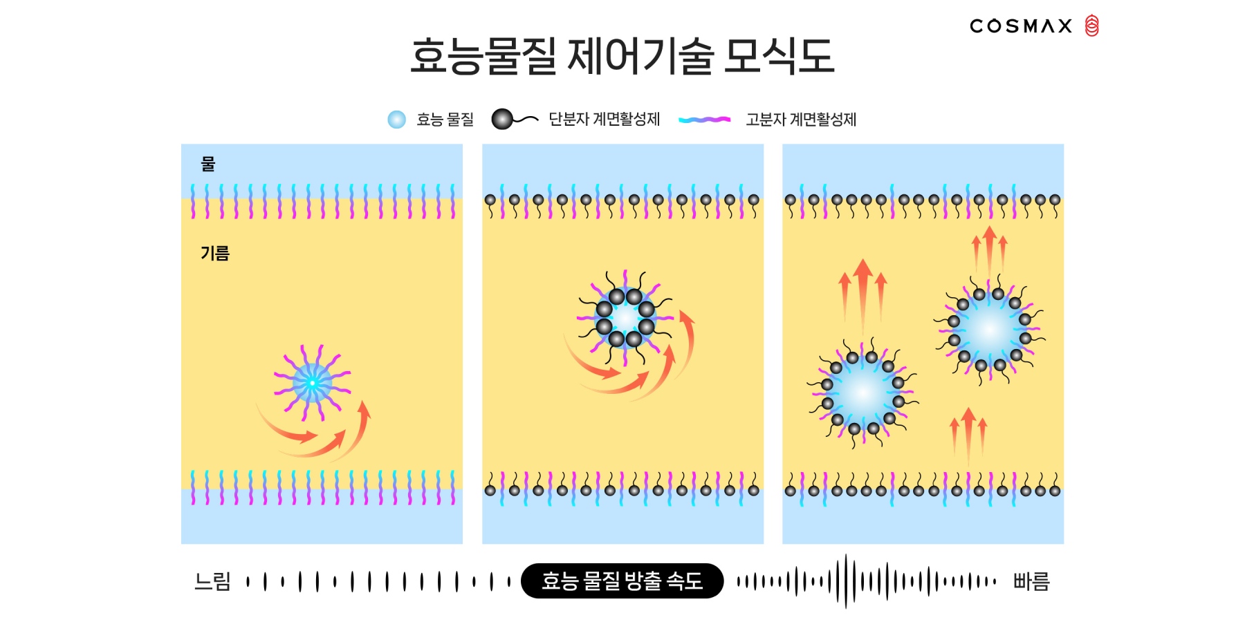 코스맥스 화장품 효능성분 방출속도 제어 기술 개발, 차세대 자외선차단제 활용 가능성