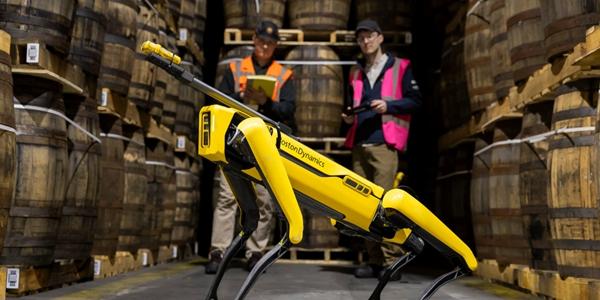 클로봇 주가 장중 15%대 급등, 보스턴다이내믹스 로봇 '스팟' 관련 인증 획득