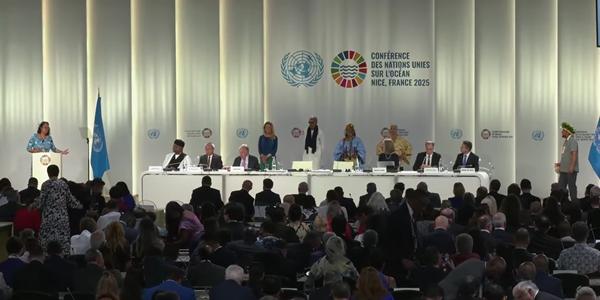 '글로벌 해양조약' 공식 발효 D-1, 차기 해양총회 개최 맡은 한국 공해 보호 책임 무거워져