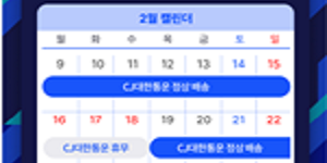 CJ대한통운 설 맞아 4주간 특별운송체제 돌입, 개인택배 발송 제한도 없애