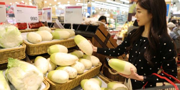 롯데마트 2월4일까지 '물가안정 기획전', 제주산 상생무 개당 990원 판매