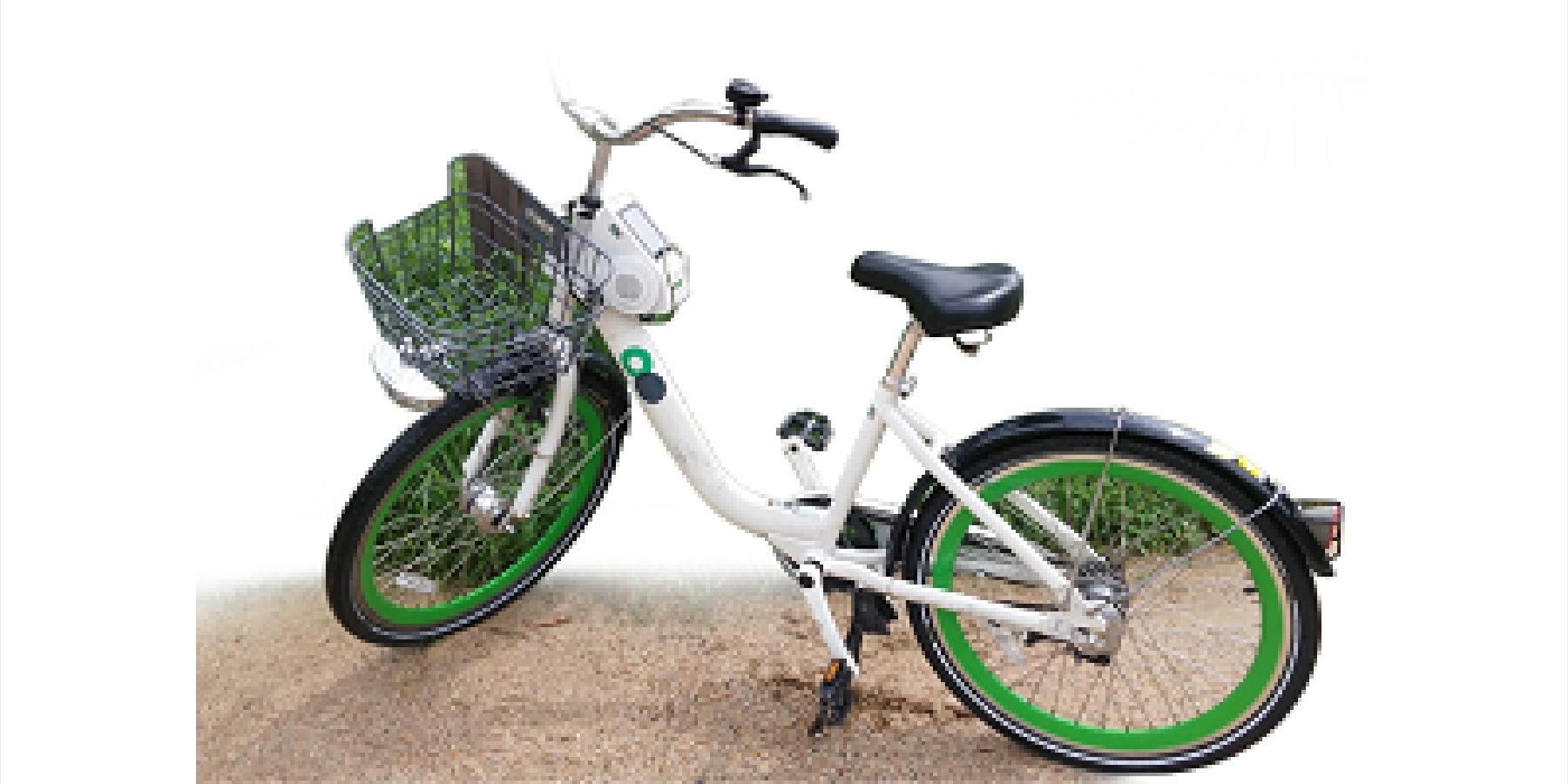 서울시 공유자전거 '따릉이' 회원정보 유출 의심, 