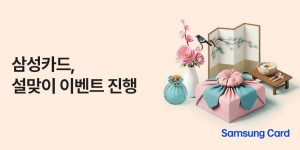 카드사 설 대목 대형마트·자체쇼핑몰 공략, 50% 할인부터 250만원 상품권까지