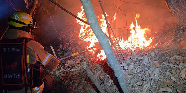 기후변화가 산불 가능성 세 배 높여, 세계 각국 연초부터 산불 대응에 총력