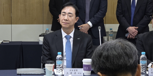 [현장] 정기검사 앞두고 금감원장 만난 보험사 CEO들, <a href='https://www.businesspost.co.kr/BP?command=article_view&num=410376' class='human_link' style='text-decoration:underline' target='_blank'>이찬진</a> 소비자보호 강화 기조에 긴장